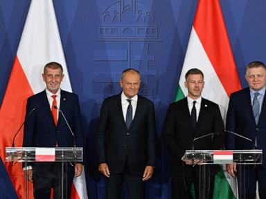 Source-feed image associated with Leaders of four Central European countries meet in Hungary to reboot regional group