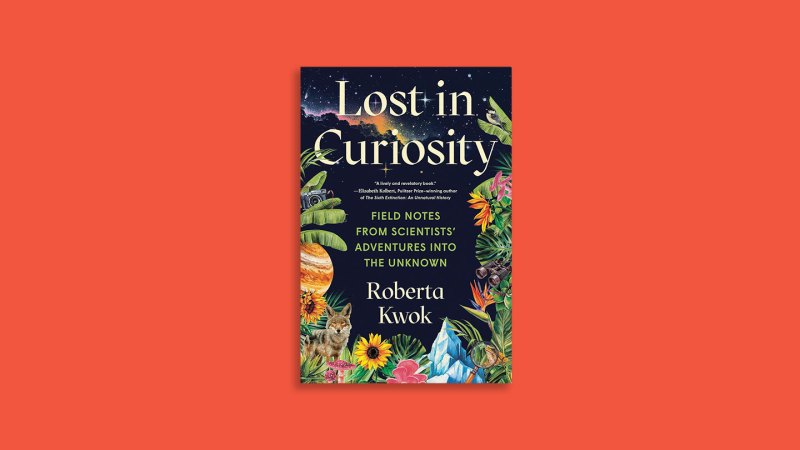 Source-feed image associated with Lost in Curiosity reveals the messy reality of doing science