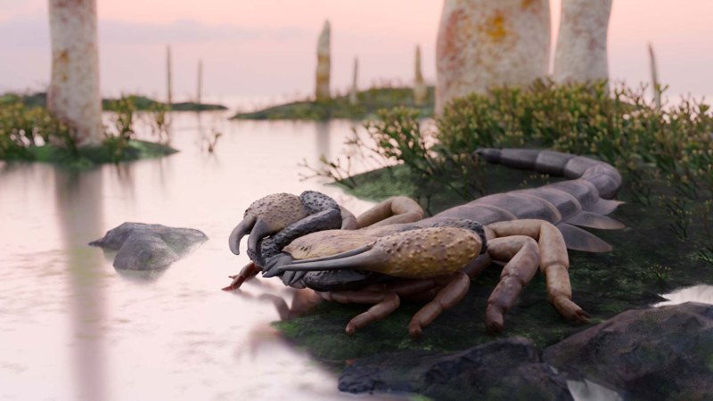 Source-feed image associated with The world’s largest scorpion lived 415 million years ago