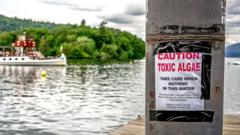 Source-feed image associated with All of England's rivers and lakes polluted with chemicals, officials say