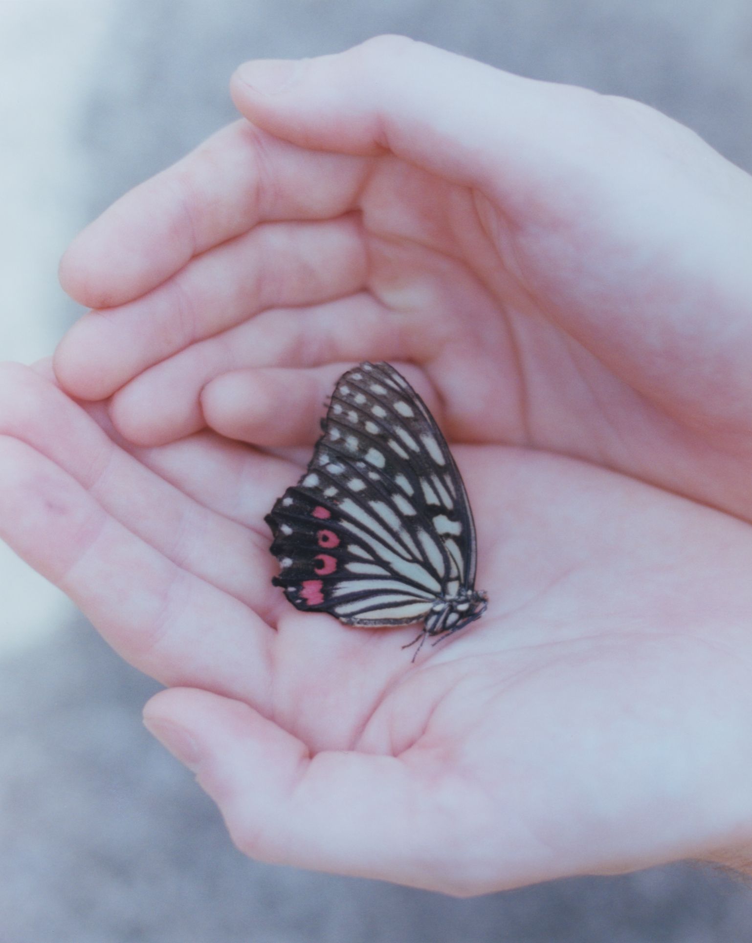 Source-feed image associated with Everything Is Nothing and Nothing Is Everything by Nico Perez