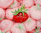 Source-feed image associated with ‘Flavour is under siege in this country’: how food in America lost its taste