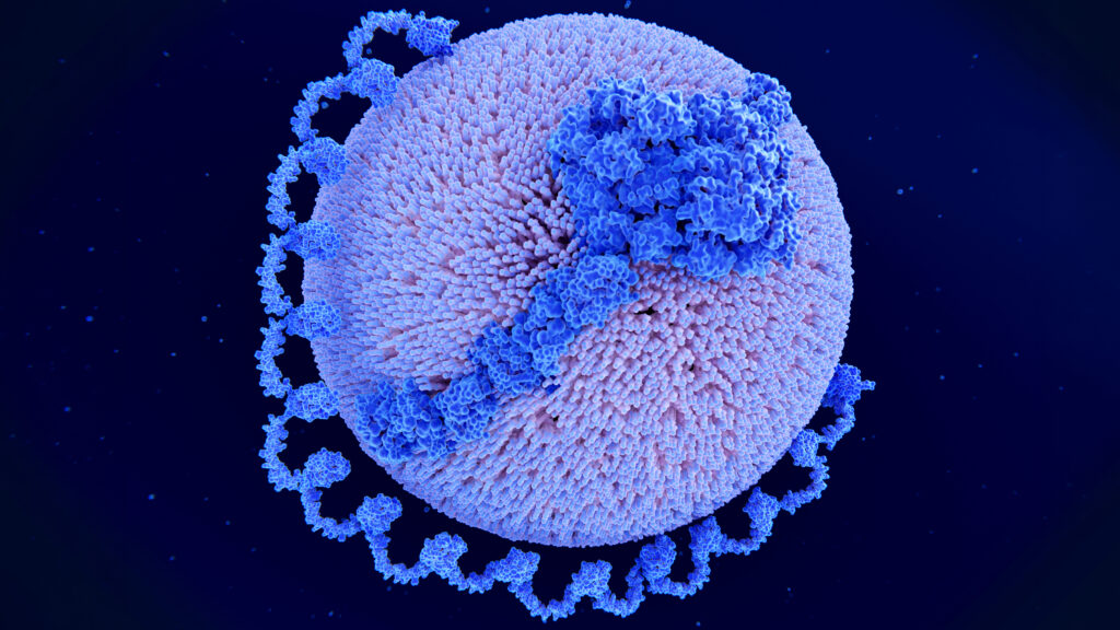 Source-feed image associated with STAT+: New treatments for common cardiovascular risk factor near the market, with billions at stake