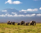 Source-feed image associated with Kenya investigating unexpected deaths of 15 elephants in national park