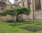 Source-feed image associated with Cambridge experts recreate 336-year-old garden to commemorate ‘father of natural history’