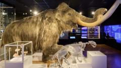 Source-feed image associated with 'True jewel' museum and gallery wins UK award
