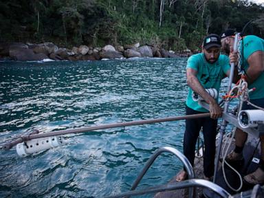 Source-feed image associated with A Brazilian bay’s surprise shark nursery sparks conservation project