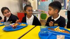 Source-feed image associated with Deep-fried food banned under new school dinner rules in England