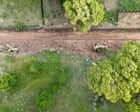 Source-feed image associated with Protesters occupy 200-year-old tree at US-Mexico border to stop its destruction: ‘She’s our Statue of Liberty’