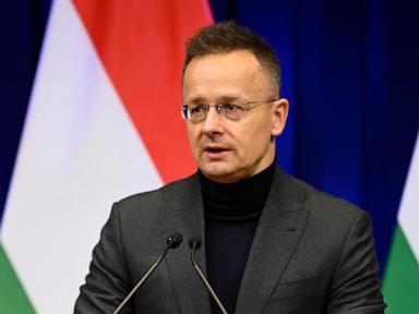 Source-feed image associated with Former Hungarian foreign minister resigns from parliament for job with Chinese automaker