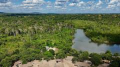 Source-feed image associated with Brazil's Amazon sees sharp decline in size of area burned in 2025