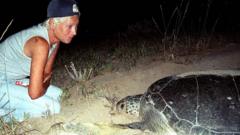 Source-feed image associated with Lebanese turtle conservationist Mona Khalil killed by Israeli strike