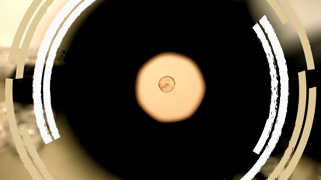Source-feed image associated with Opinion: New human embryo editing advances require tough conversations on ethical boundaries