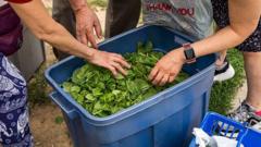 Source-feed image associated with Using a bathroom 20 times a day - life in the middle of US cyclospora outbreak
