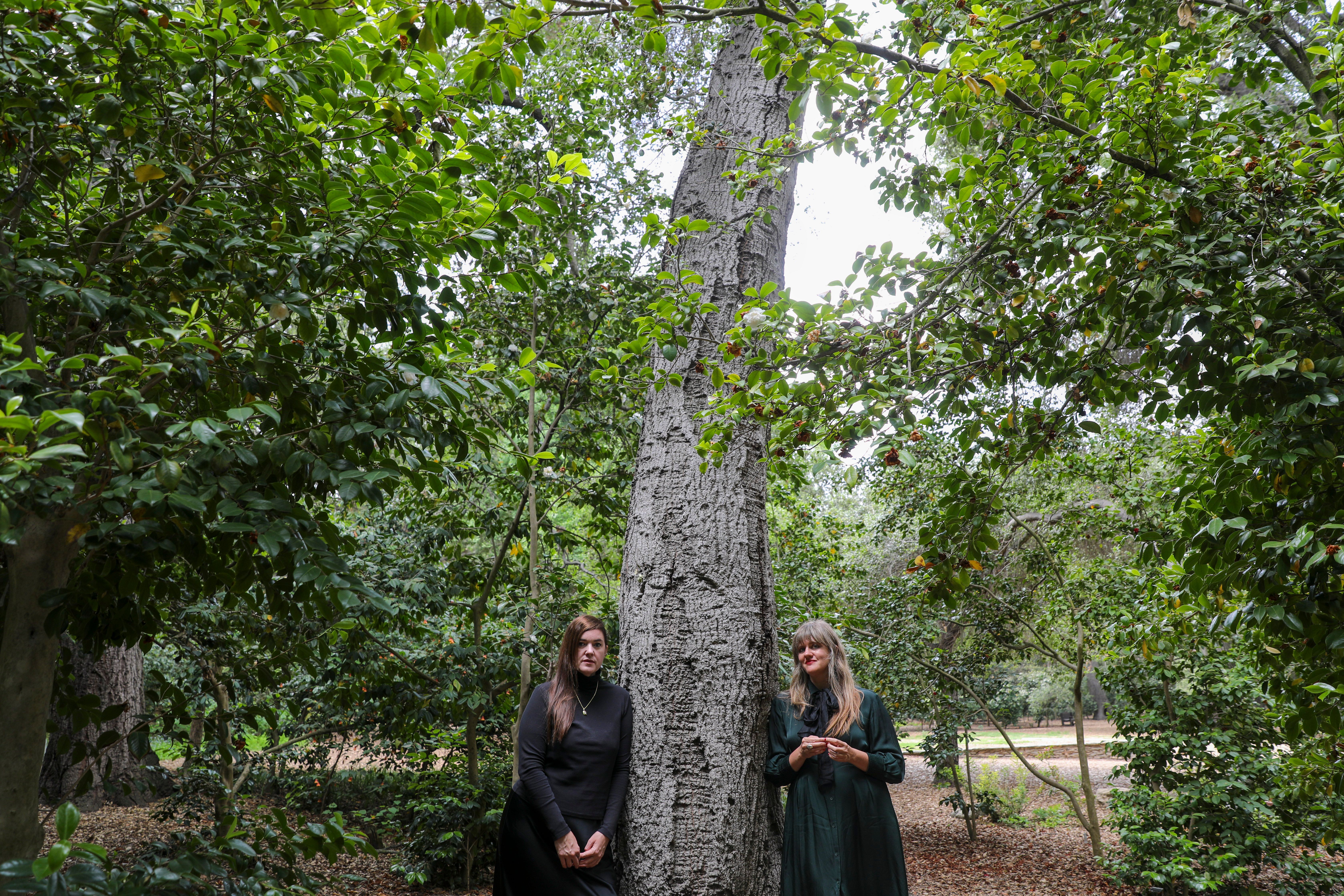 Source-feed image associated with Julianna Barwick and Mary Lattimore Share Songs From New Film Score
