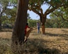 Image from linked report: The Seasons review – Portuguese pastoral offers poetic excavation of myth and mapping