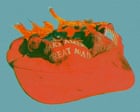 Source-feed image associated with Life after Maga: the group offering an ‘exit ramp’ for rightwingers questioning Trumpism