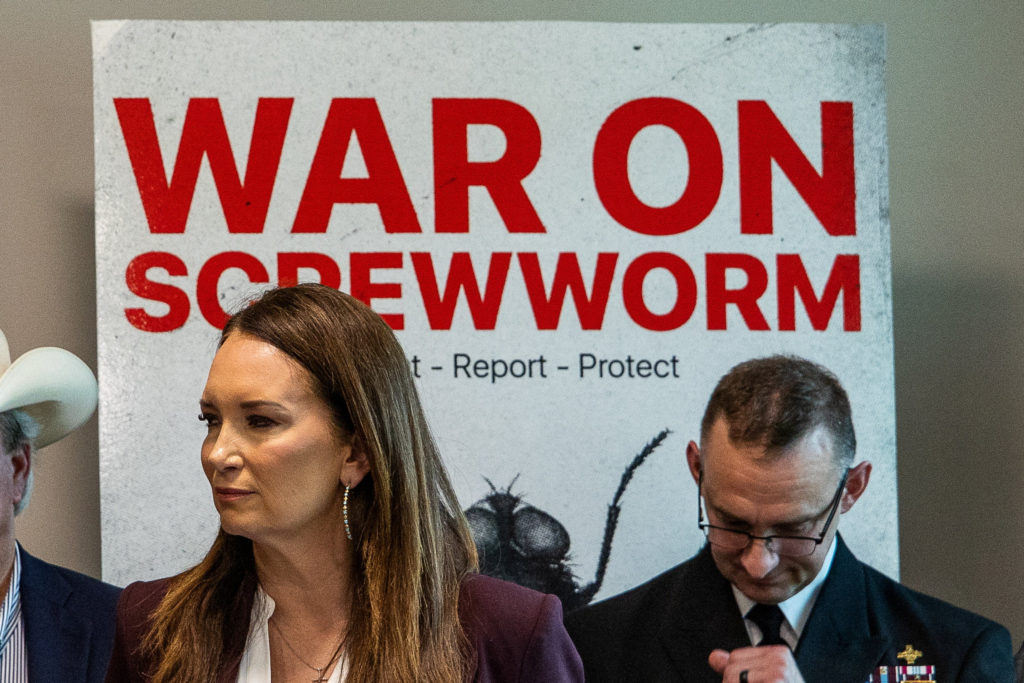 Source-feed image associated with Political blame game follows as screwworm parasite threatens cattle in Texas