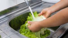 Source-feed image associated with What to know about 'explosive diarrhoea' parasite outbreak in US