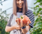 Image from linked report: I tried to become a gay tradwife – and failed abysmally | Arwa Mahdawi