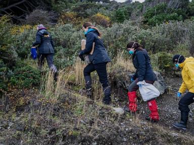 Source-feed image associated with Argentina expands hantavirus probe, sending teams to trap and test rats in Mendoza