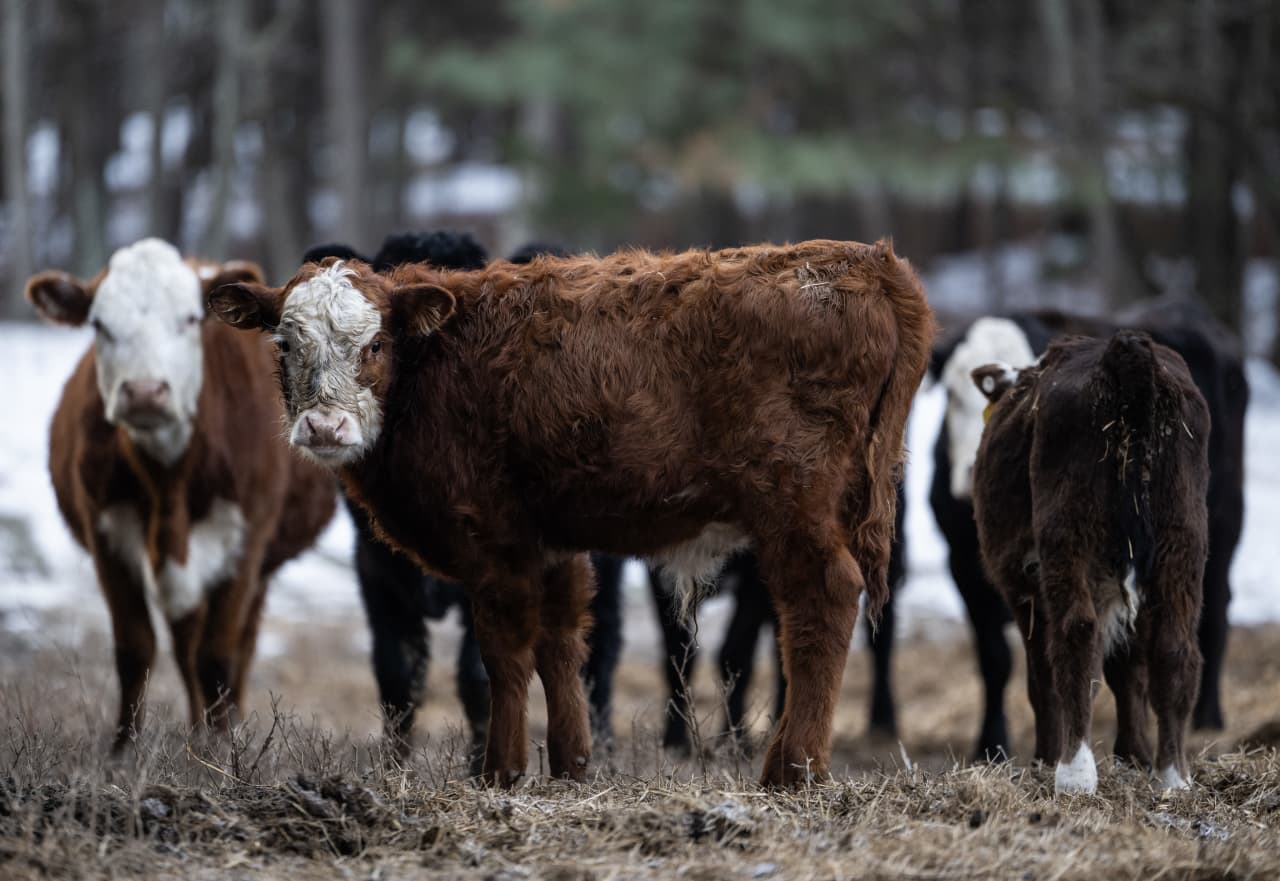 Source-feed image associated with This may be the real reason USDA made a huge revision to its beef-export sales data