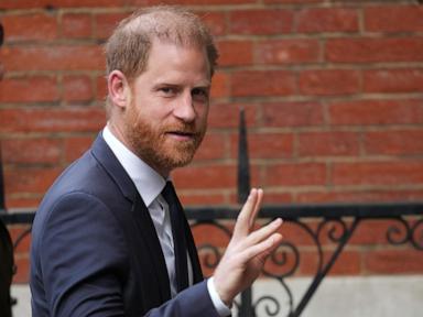 Source-feed image associated with Prince Harry to leave board of African Parks conservation nonprofit