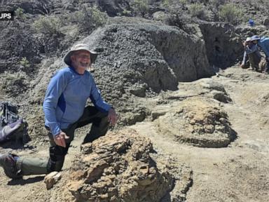 Source-feed image associated with WATCH: High school teacher discovers T. rex tracks in North Dakota