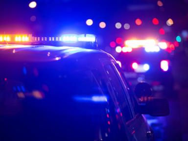 Image from linked report: Police officer shot outside synagogue in Ontario on Yom Kippur: Officials