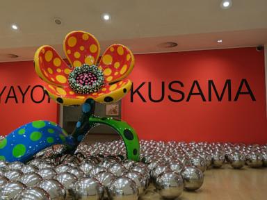 Source-feed image associated with Amsterdam’s Stedelijk Museum opens a major Yayoi Kusama exhibition after her death last month