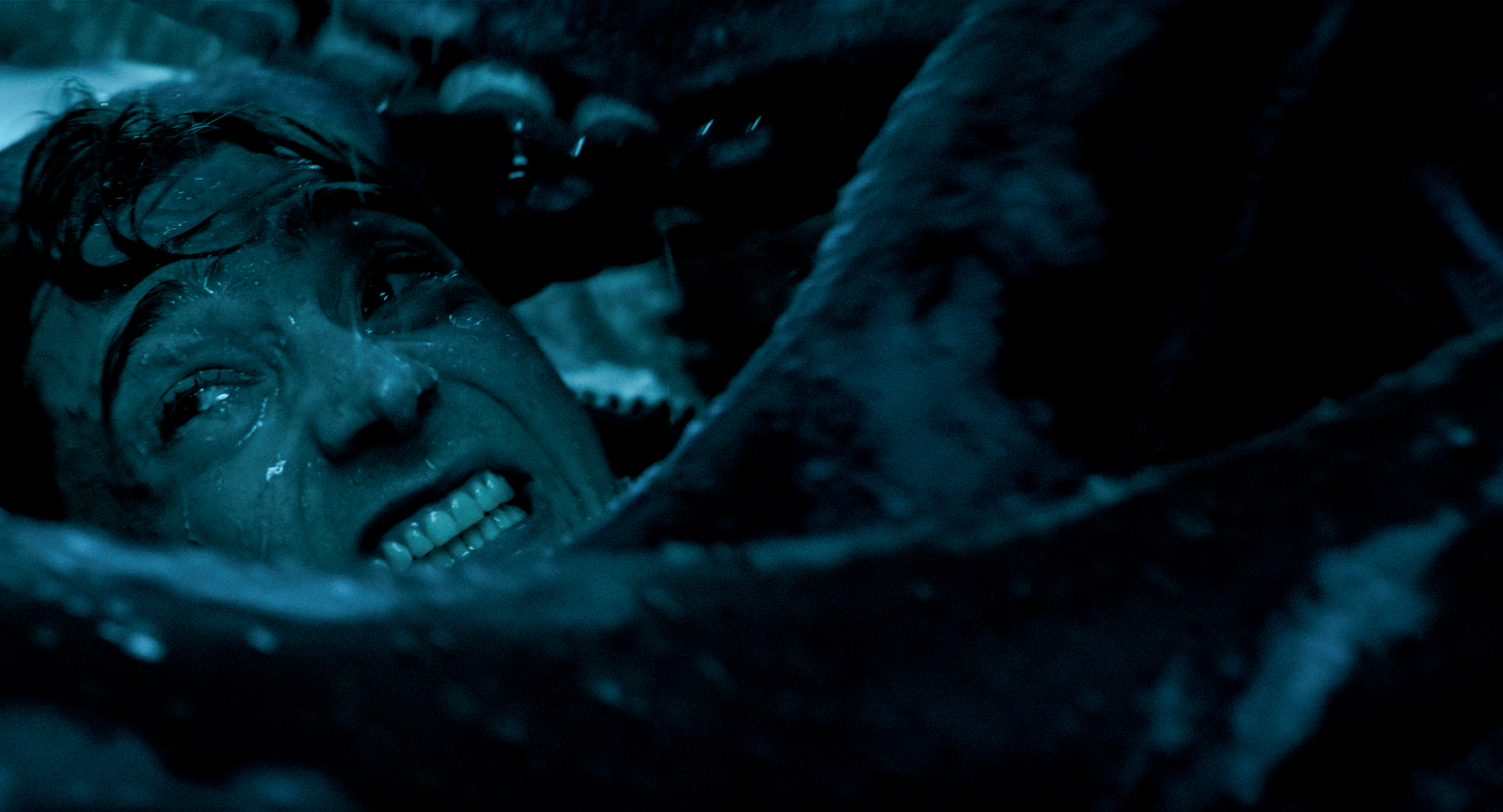 Image from linked report: ‘Whalefall’ Review: Austin Abrams Gets Swallowed by a Whale in an Unintentionally Preposterous Thriller — a Tale of Human Perseverance and Mammalian Stomach Lining