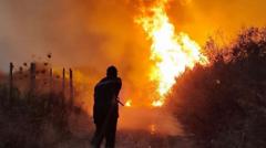 Source-feed image associated with Algeria president seeks death penalty for arsonists after deadly forest fires