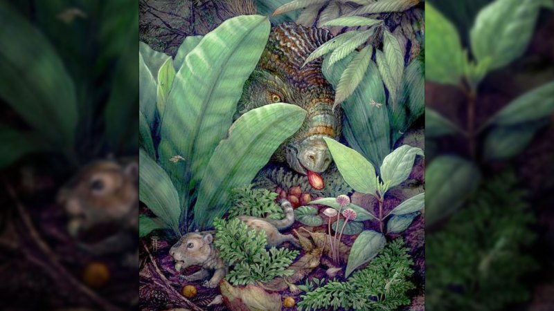 Source-feed image associated with Ancient flowering plants may have used dinosaurs to spread their seeds