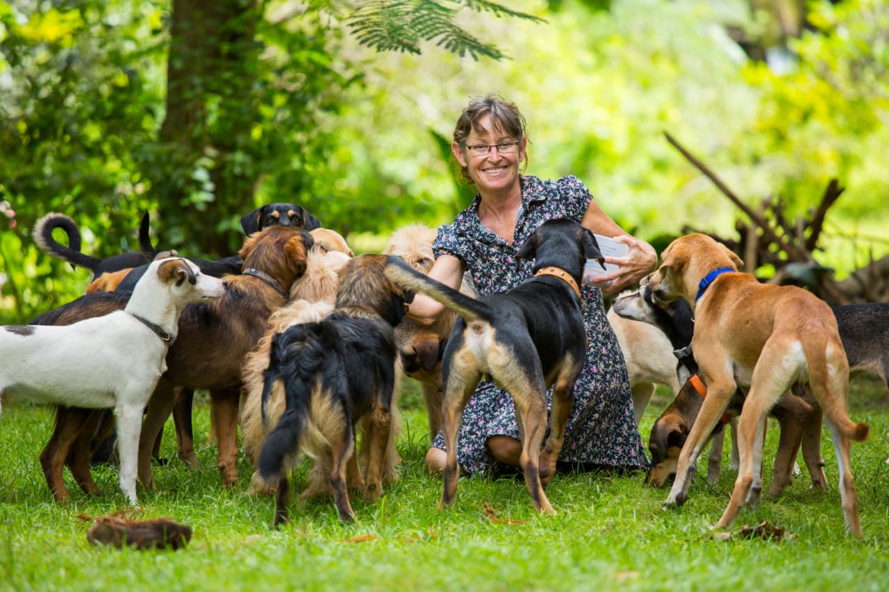 Image from linked report: My friend grosses $300,000 a year with her pet-sitting business. She pays herself $50,000. Should I do the same?