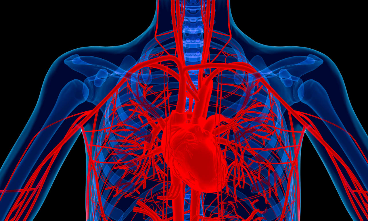Source-feed image associated with Lindsey Graham died from a rare heart condition. Here’s how to know if you’re at risk.