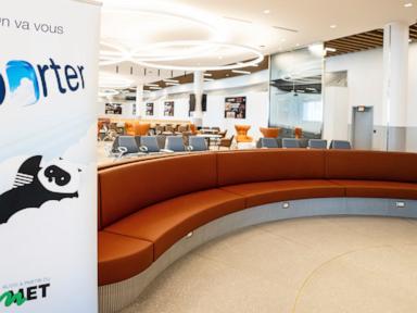 Source-feed image associated with Porter Airlines flight in Canada canceled after child refuses to sit down
