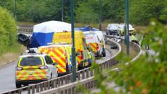 Source-feed image associated with Sharing dangerous driving videos is 'truly reprehensible', PM says