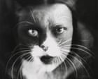 Source-feed image associated with The cat that fought Mussolini: how the Wulz photography sisters weaponised the family pet