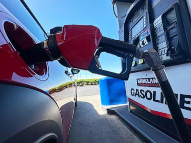 Source-feed image associated with Costco raises price for Kirkland motor oil, sets purchase limit