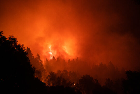 Source-feed image associated with Wildfire Forces Evacuations Across Top Canadian Wine Region