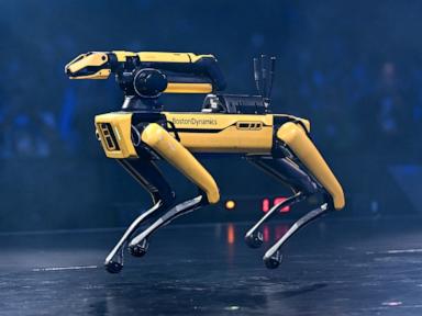 Source-feed image associated with ICE plans to purchase robot dogs