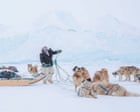 Source-feed image associated with Scaring monkeys? Detecting bedbugs? Meet the elite working dogs – in pictures