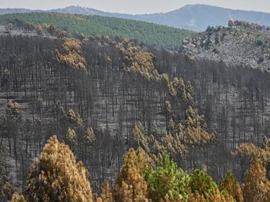 Source-feed image associated with Firefighters in central Spain battle huge wildfire during heat wave