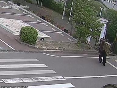 Source-feed image associated with WATCH: Bear attack injures 4 in Fukushima, Japan, amid surging population