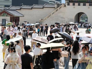 Source-feed image associated with Record heat wave impacts people and animals in Japan and Korean Peninsula