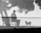 Source-feed image associated with ‘It reminds me of the love I felt for my faithful companion’: Tony Hertz’s best phone picture