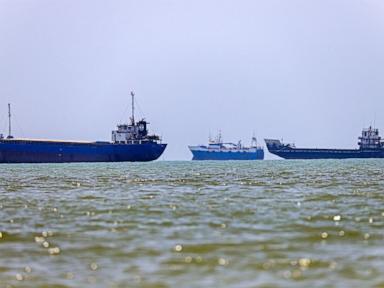 Source-feed image associated with Superspreader event of invasive species originating near Strait of Hormuz possible