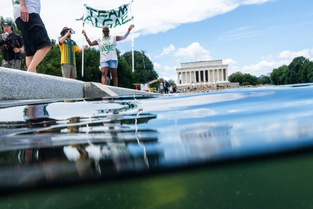 Source-feed image associated with The reflecting pool is about to be drained, again. Here's what to know