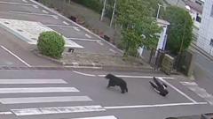 Source-feed image associated with Watch: Man attacked by bear at steel works in Japan
