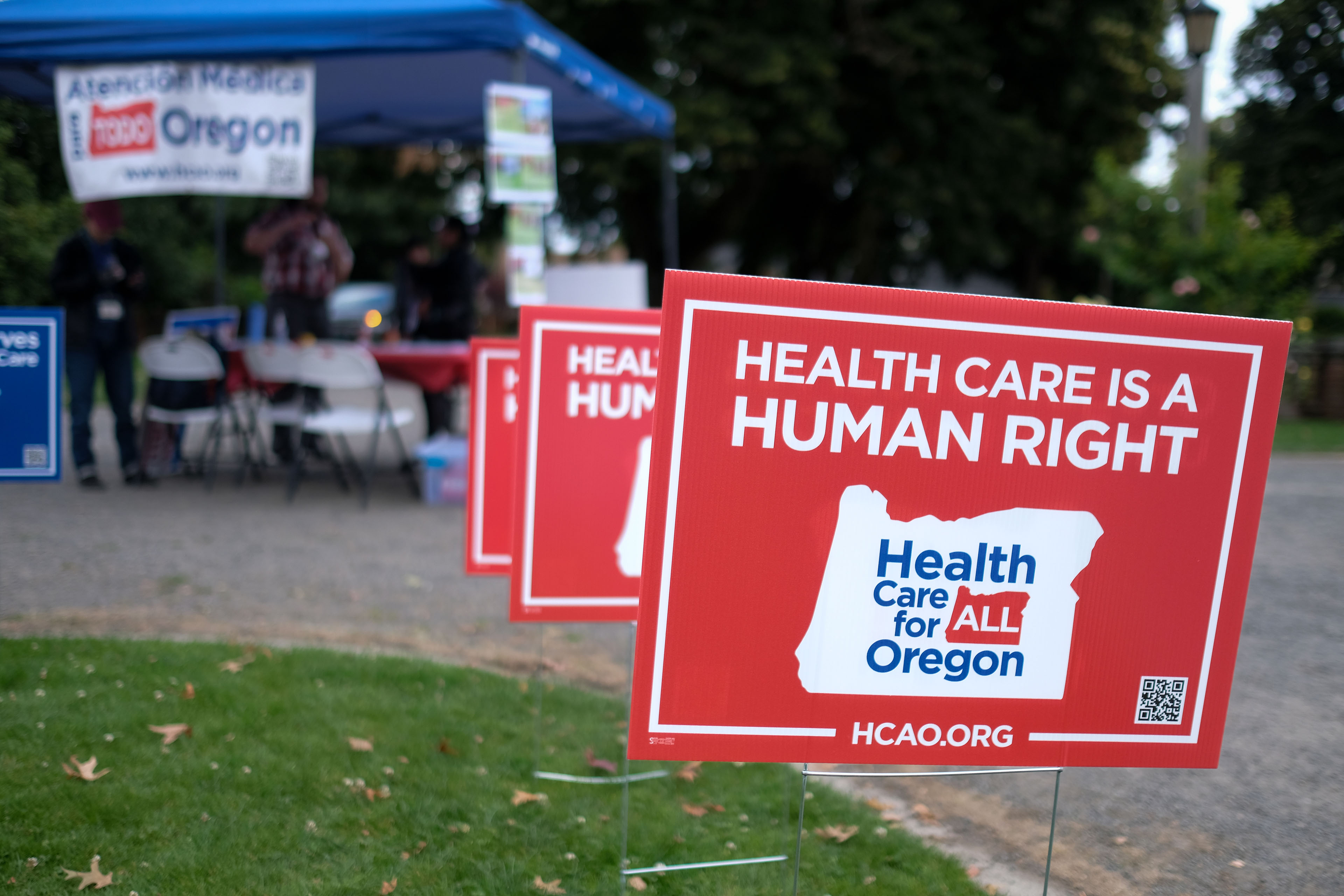 Image from linked report: Midterms Have Revived Universal Healthcare Debate. These States Are Ahead of Everyone.